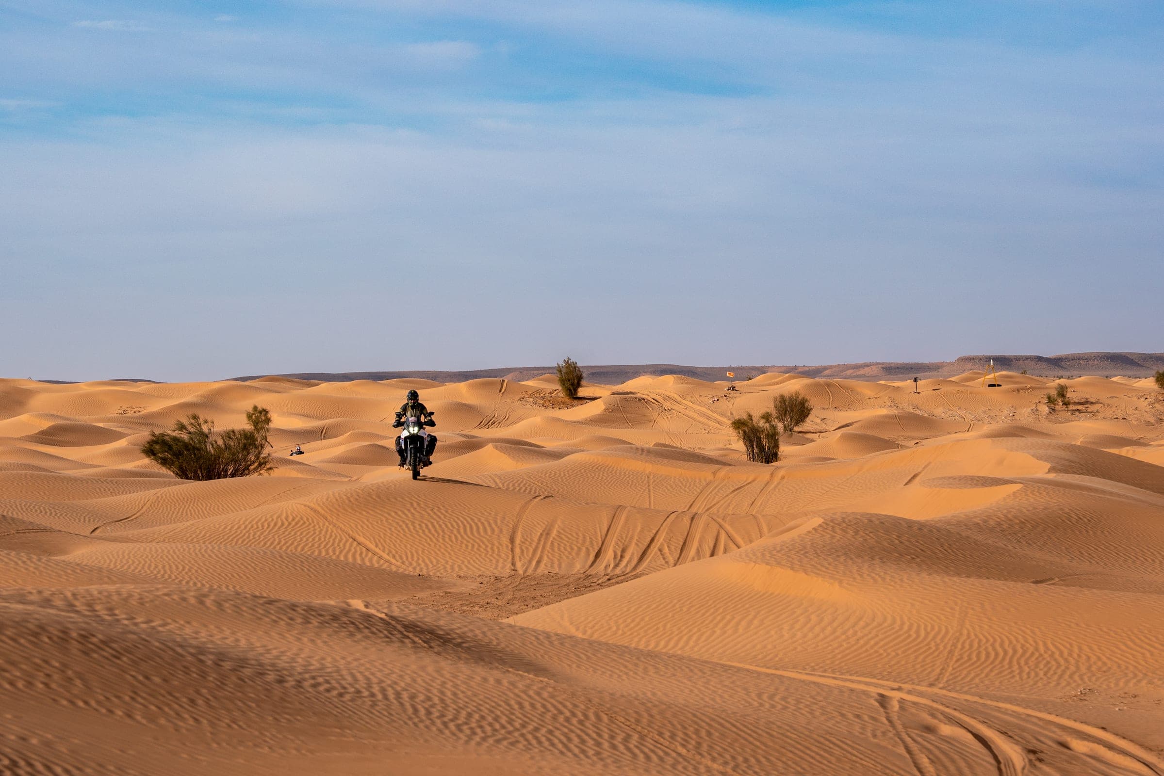 Rider in golden dunes